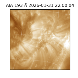 saia - 2026-01-31T22:00:04.843000