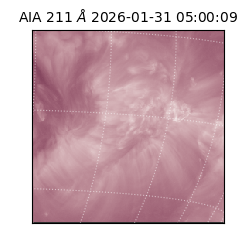 saia - 2026-01-31T05:00:09.630000