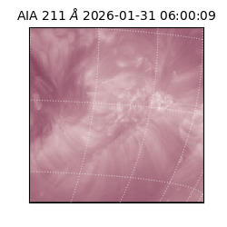 saia - 2026-01-31T06:00:09.633000