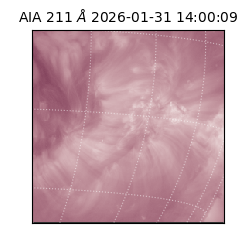 saia - 2026-01-31T14:00:09.626000