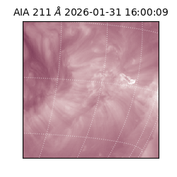 saia - 2026-01-31T16:00:09.626000