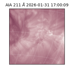 saia - 2026-01-31T17:00:09.622000