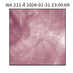 saia - 2026-01-31T23:00:09.630000