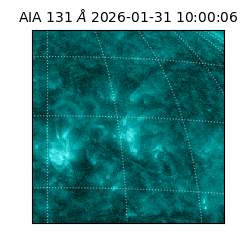 saia - 2026-01-31T10:00:06.638000