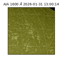 saia - 2026-01-31T13:00:14.126000