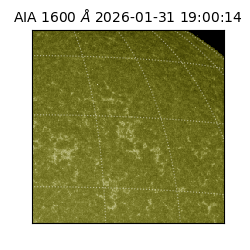 saia - 2026-01-31T19:00:14.126000