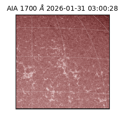 saia - 2026-01-31T03:00:28.718000