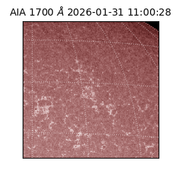 saia - 2026-01-31T11:00:28.737000