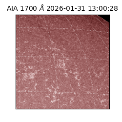 saia - 2026-01-31T13:00:28.720000