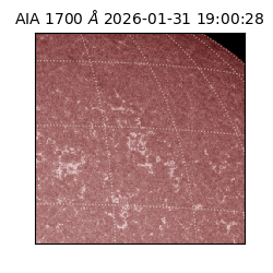 saia - 2026-01-31T19:00:28.710000