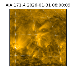 saia - 2026-01-31T08:00:09.350000