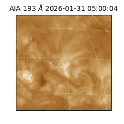 saia - 2026-01-31T05:00:04.843000