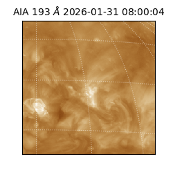 saia - 2026-01-31T08:00:04.843000