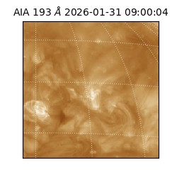 saia - 2026-01-31T09:00:04.843000