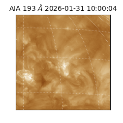 saia - 2026-01-31T10:00:04.843000