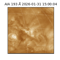 saia - 2026-01-31T15:00:04.843000