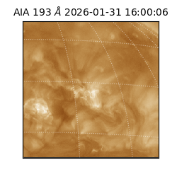 saia - 2026-01-31T16:00:06.936000