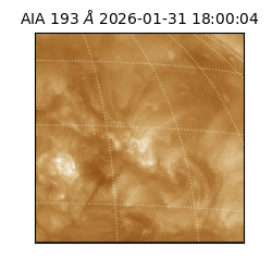 saia - 2026-01-31T18:00:04.843000
