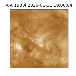 saia - 2026-01-31T19:00:04.843000