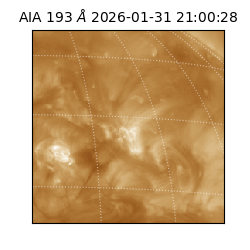 saia - 2026-01-31T21:00:28.843000