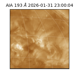 saia - 2026-01-31T23:00:04.843000