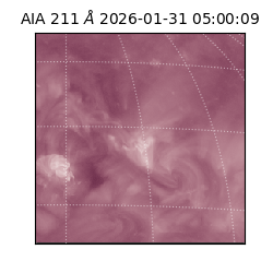 saia - 2026-01-31T05:00:09.630000