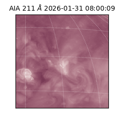 saia - 2026-01-31T08:00:09.626000