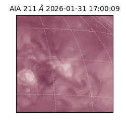 saia - 2026-01-31T17:00:09.622000