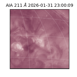 saia - 2026-01-31T23:00:09.630000