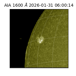 saia - 2026-01-31T06:00:14.126000