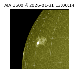 saia - 2026-01-31T13:00:14.126000