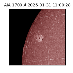 saia - 2026-01-31T11:00:28.737000