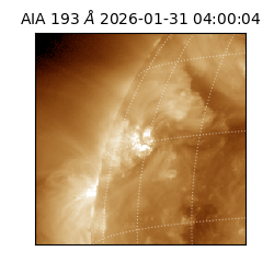 saia - 2026-01-31T04:00:04.843000