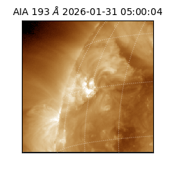 saia - 2026-01-31T05:00:04.843000