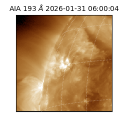 saia - 2026-01-31T06:00:04.843000