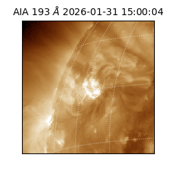 saia - 2026-01-31T15:00:04.843000