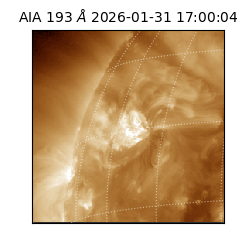 saia - 2026-01-31T17:00:04.843000