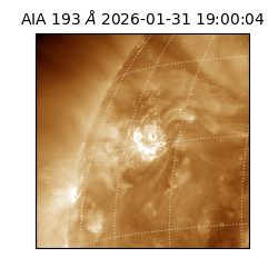 saia - 2026-01-31T19:00:04.843000