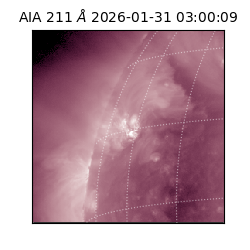 saia - 2026-01-31T03:00:09.630000