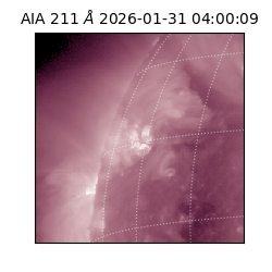 saia - 2026-01-31T04:00:09.626000