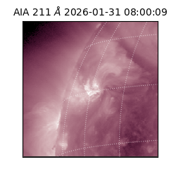 saia - 2026-01-31T08:00:09.626000