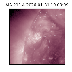 saia - 2026-01-31T10:00:09.622000