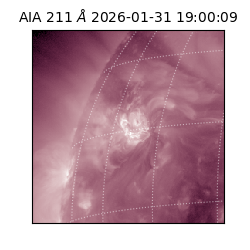 saia - 2026-01-31T19:00:09.626000