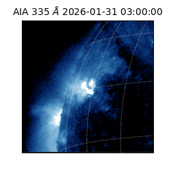 saia - 2026-01-31T03:00:00.625000