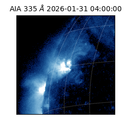 saia - 2026-01-31T04:00:00.622000