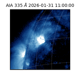 saia - 2026-01-31T11:00:00.633000