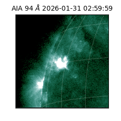 saia - 2026-01-31T02:59:59.122000