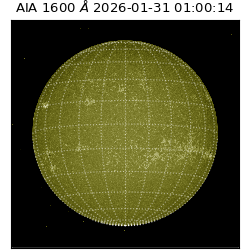 saia - 2026-01-31T01:00:14.125000