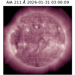 saia - 2026-01-31T03:00:09.630000