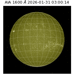 saia - 2026-01-31T03:00:14.126000